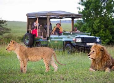 6days-kenya-safari
